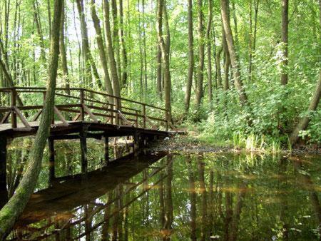Landgasthof Zum Muehlenteich Eggersdorf  Buitenkant foto
